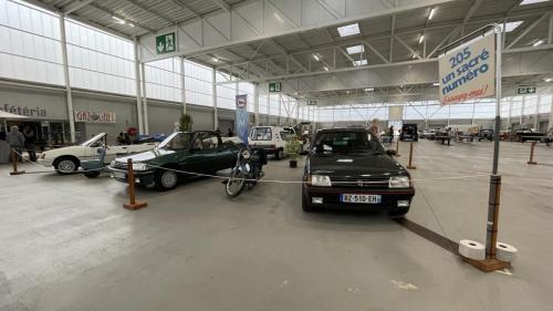 IMG 7002