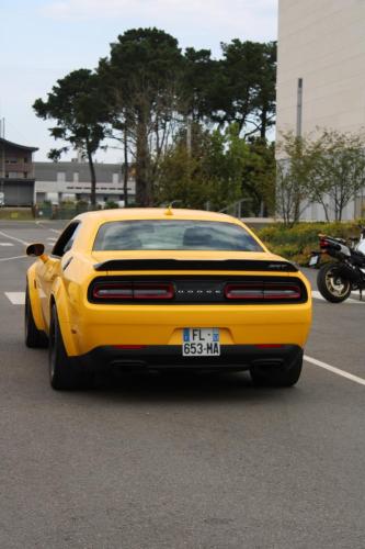 IMG 5306photo