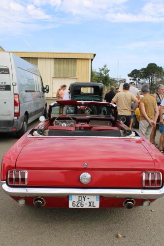 IMG 5324photo